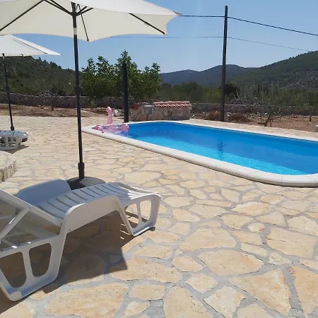 Olea Marina