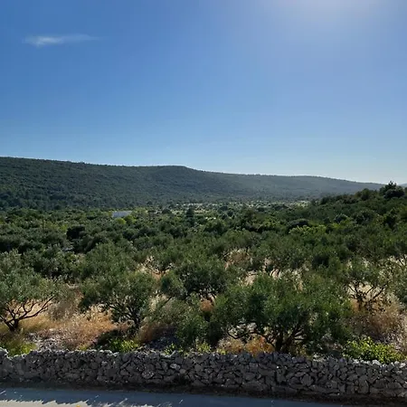 Apartment Olea *