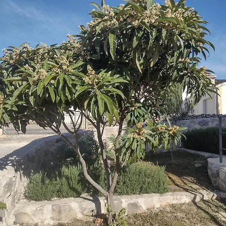 Apartment Olea *
