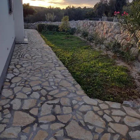 Olea * Marina