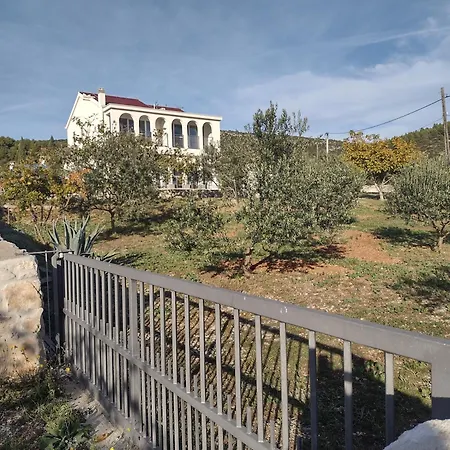 Olea
