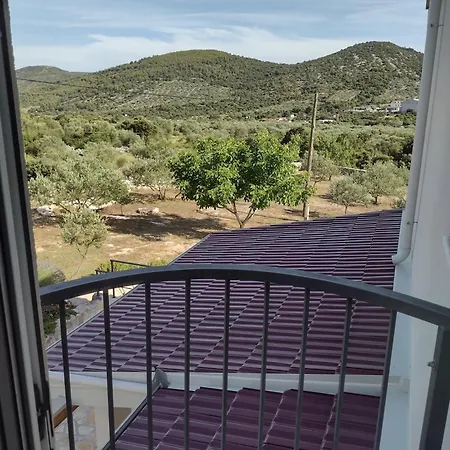 Olea *
