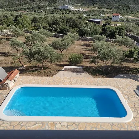 Olea
