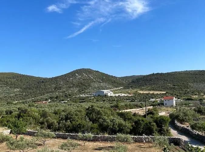 Appartement Olea Marina