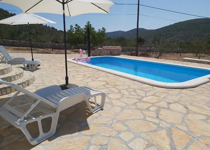 Olea Marina