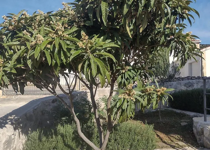 Apartment Olea *