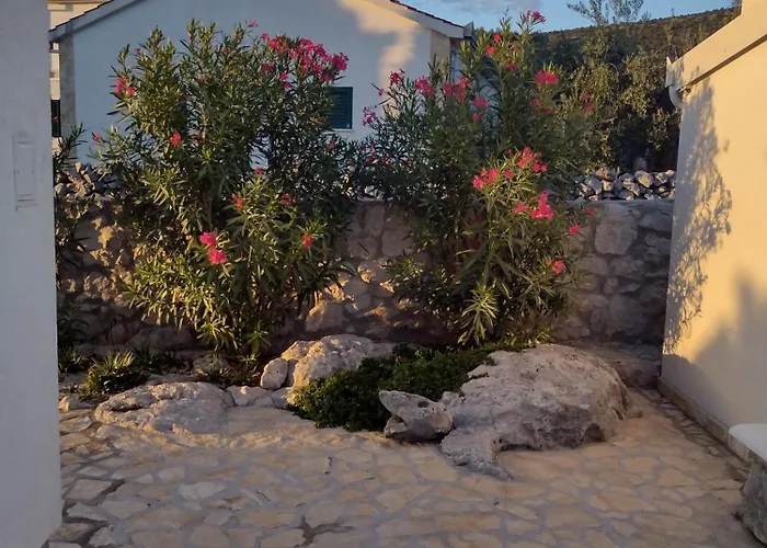 Olea Marina