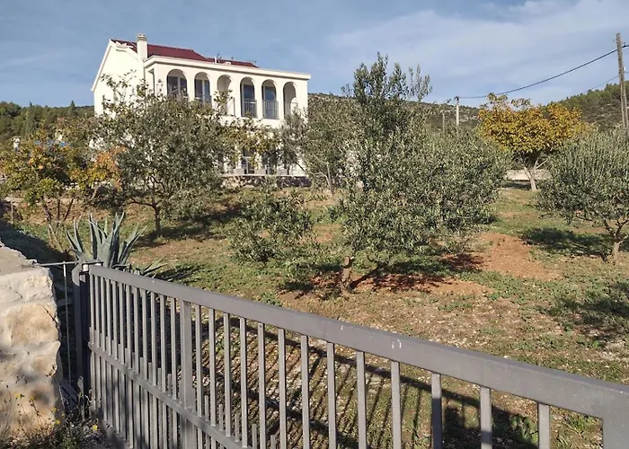 Olea