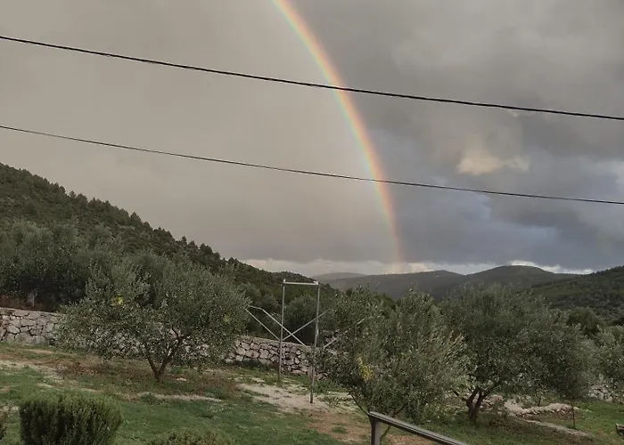 Olea Apartmán