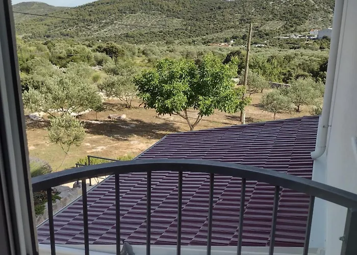 Olea *