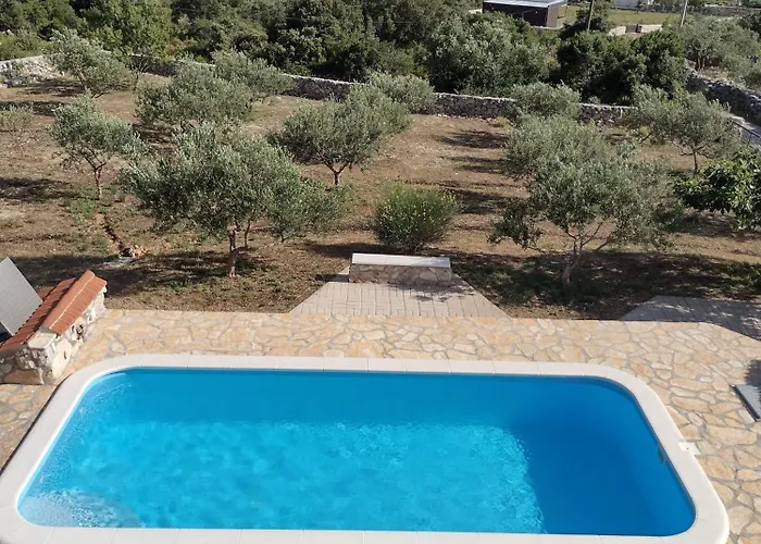 Olea