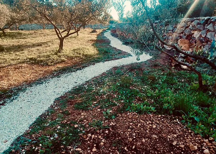 Olea