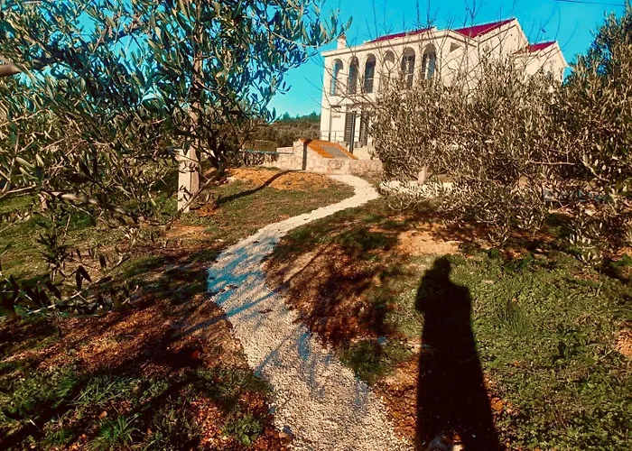 Olea *